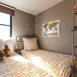 Zecamping 4 Etoiles Familial Pet Friendly Anime Piscine Chauffee