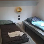 Zecamping 4 Etoiles Familial Pet Friendly Anime Piscine Chauffee * Aramits