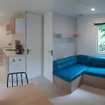 Zecamping 4 Etoiles Familial Pet Friendly Anime Piscine Chauffee * Aramits