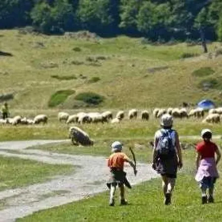 Camping 4 Etoiles - Piscine - Ccbabhc *