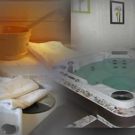 Zecamping 4 Etoiles Piscine Chauffee Chalet Tv Lv Bbq 35M2 Alpehytte Aramits
