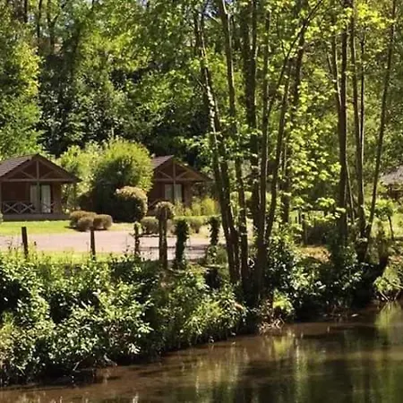 4 étoiles - Piscine - Ccbabhc Aramits