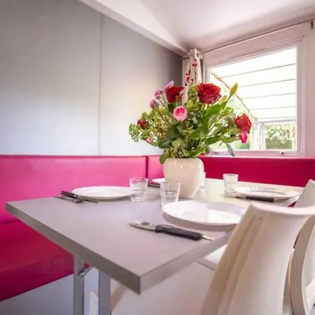 4 Etoiles - Piscine - Ccbabhc Aramits