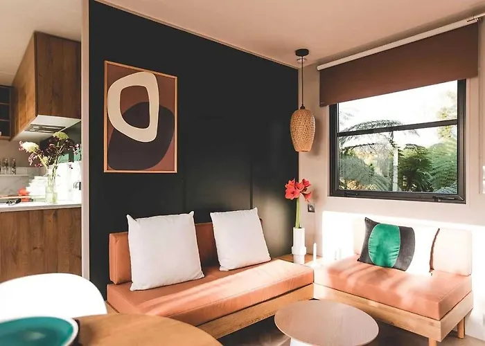 Zecamping 4 Etoiles Familial Pet Friendly Anime Piscine Chauffee Aramits