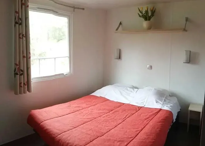 Zecamping 4 Etoiles Familial Pet Friendly Anime Piscine Chauffee Aramits