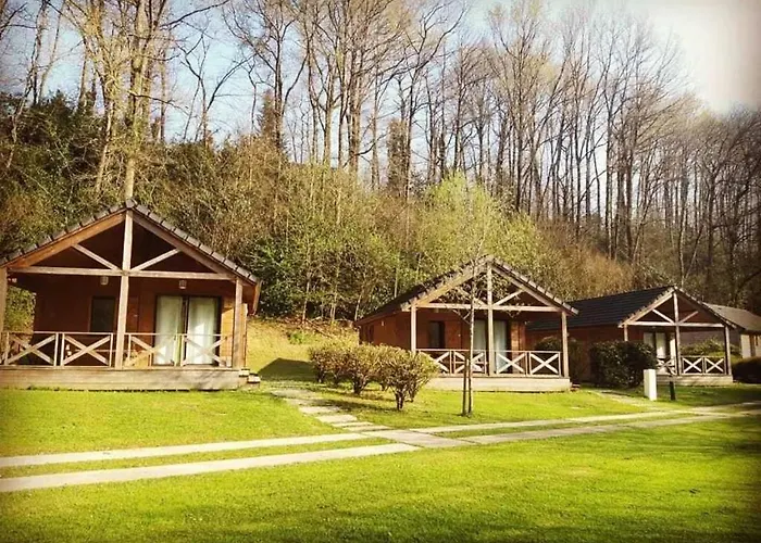Zecamping 4 Etoiles Familial Pet Friendly Anime Piscine Chauffee Kamp alanı Aramits