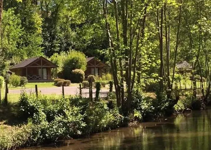 Zecamping 4 Etoiles Familial Pet Friendly Anime Piscine Chauffee Aramits
