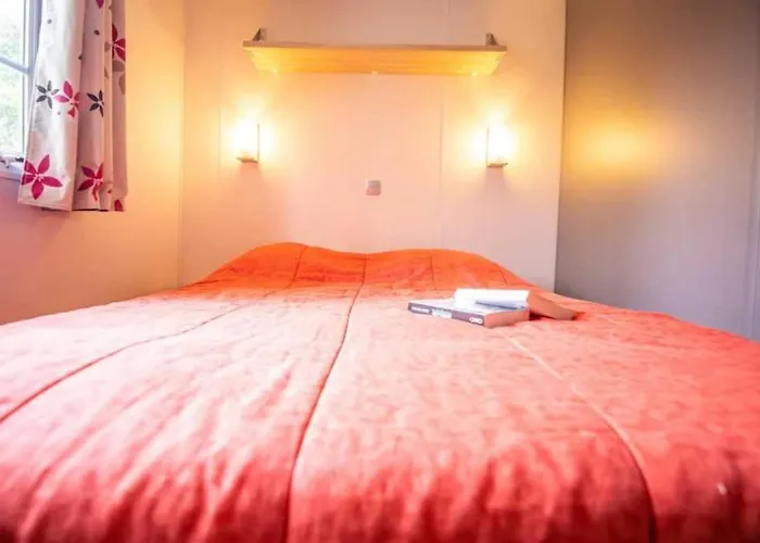 Kamp alanı Zecamping 4 Etoiles Familial Pet Friendly Anime Piscine Chauffee *