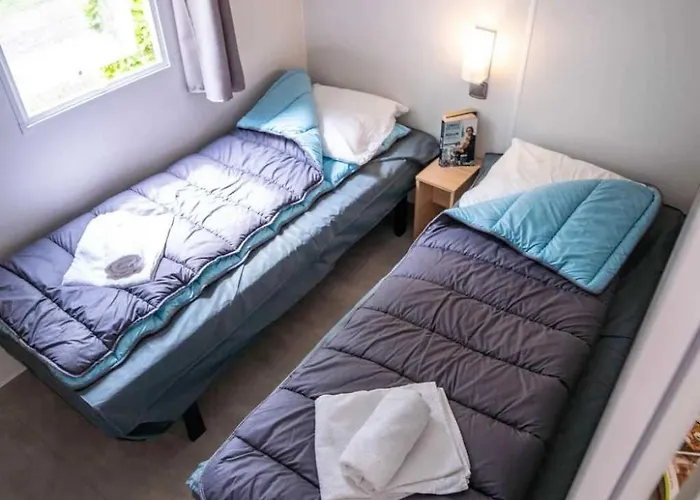 Zecamping 4 Etoiles Familial Pet Friendly Anime Piscine Chauffee