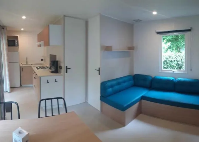 Zecamping 4 Etoiles Familial Pet Friendly Anime Piscine Chauffee * Aramits