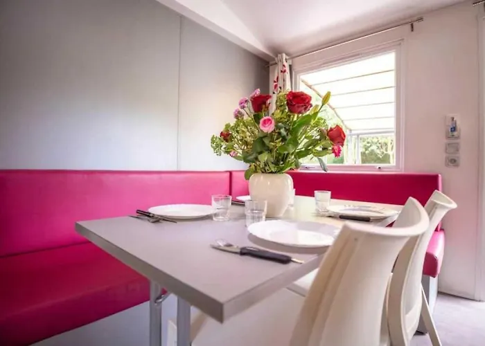 Zecamping 4 Etoiles Familial Pet Friendly Anime Piscine Chauffee Aramits