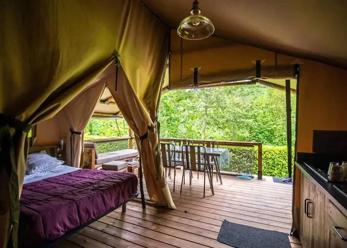 Zecamping 4 Etoiles Familial Pet Friendly Anime Piscine Chauffee Kamp alanı Aramits