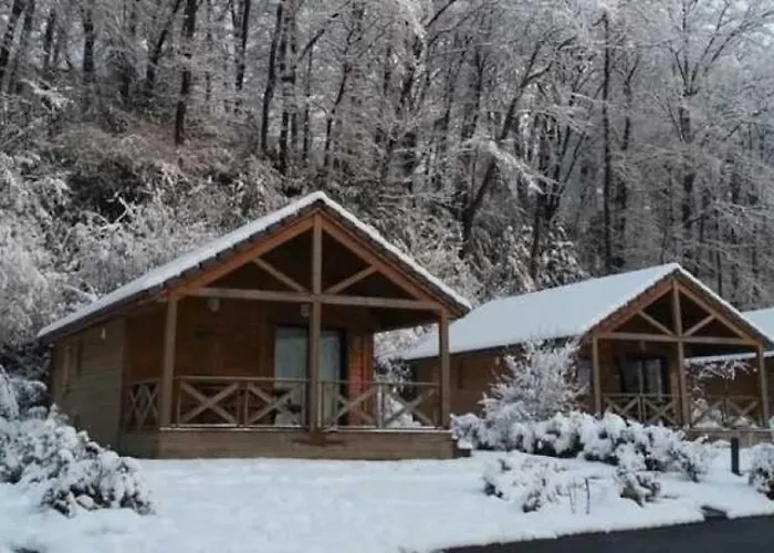 Zecamping 4 Etoiles Familial Pet Friendly Anime Piscine Chauffee Aramits