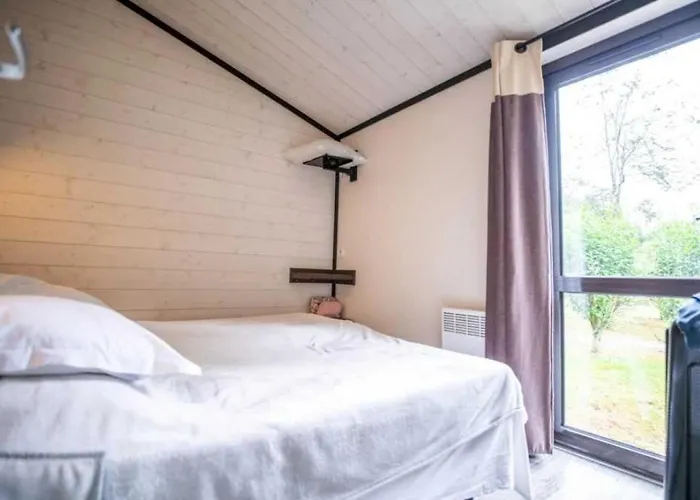 Zecamping 4 Etoiles Familial Pet Friendly Anime Piscine Chauffee Kamp alanı Aramits