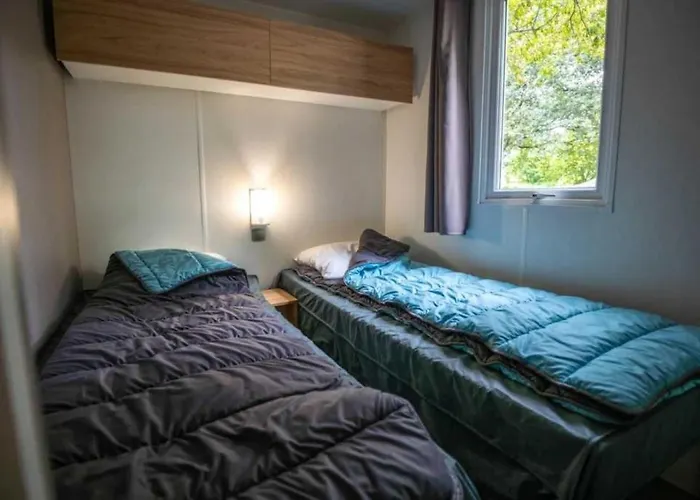 Zecamping 4 Etoiles Familial Pet Friendly Anime Piscine Chauffee Kamp alanı Aramits