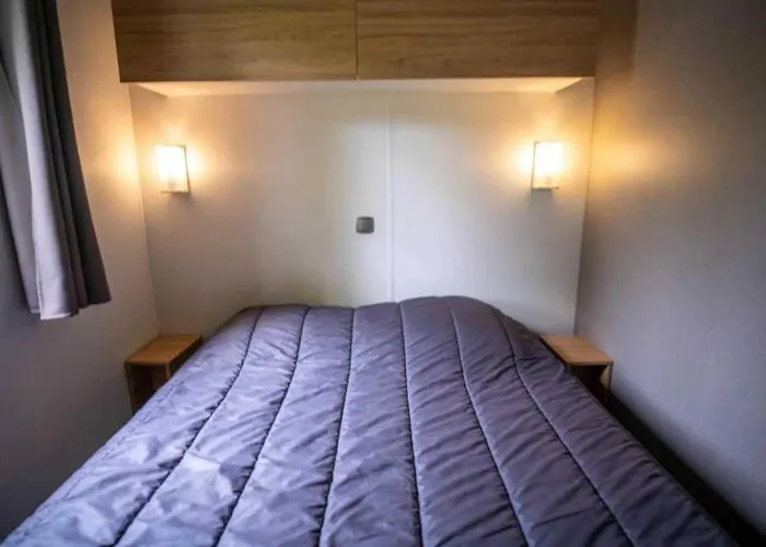 Zecamping 4 Etoiles Familial Pet Friendly Anime Piscine Chauffee