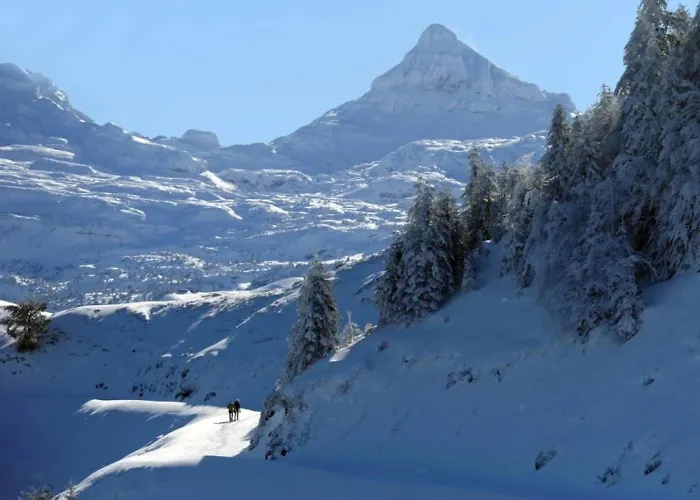 Campingplads 4 Etoiles - Piscine - Ccbabhc *