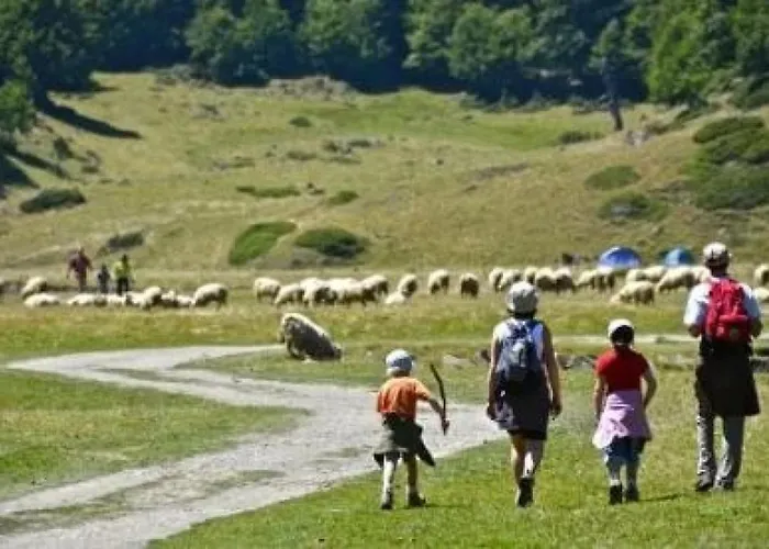 Campingplads 4 Etoiles - Piscine - Ccbabhc *